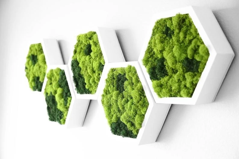 Luxury Home wall Honeycomb Shelf multi unit Set Shelf office decoration office hotel decor