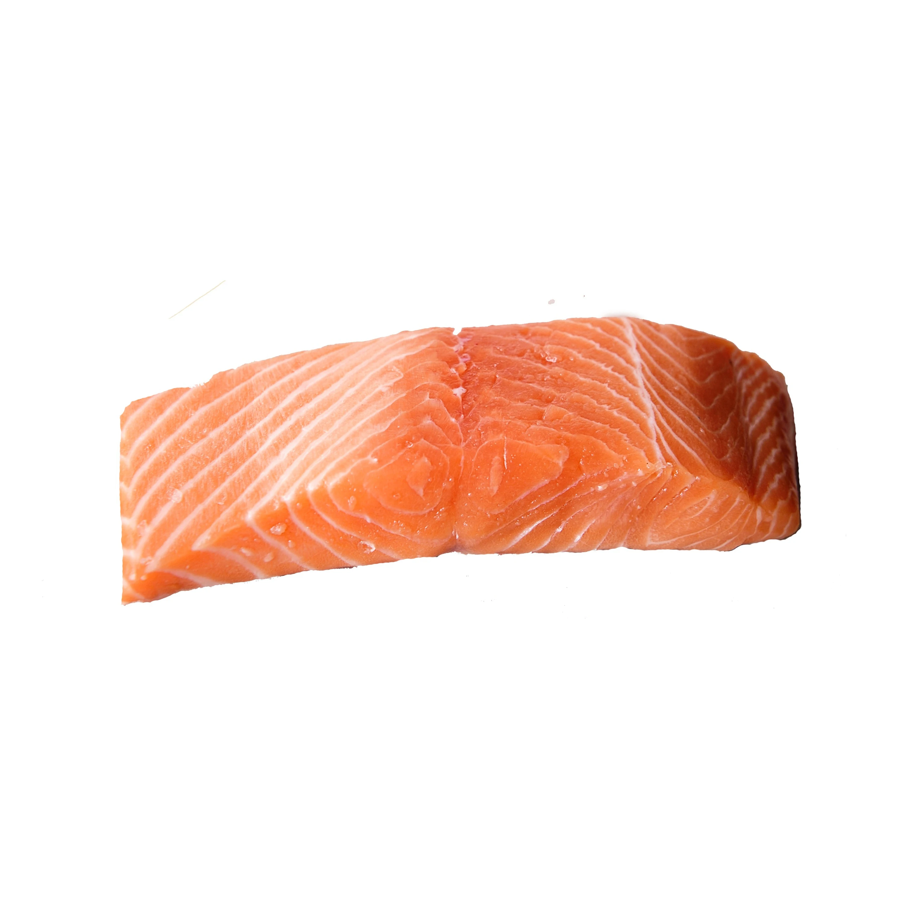 Frozen Atlantic Salmon Fillet Chile Origin
