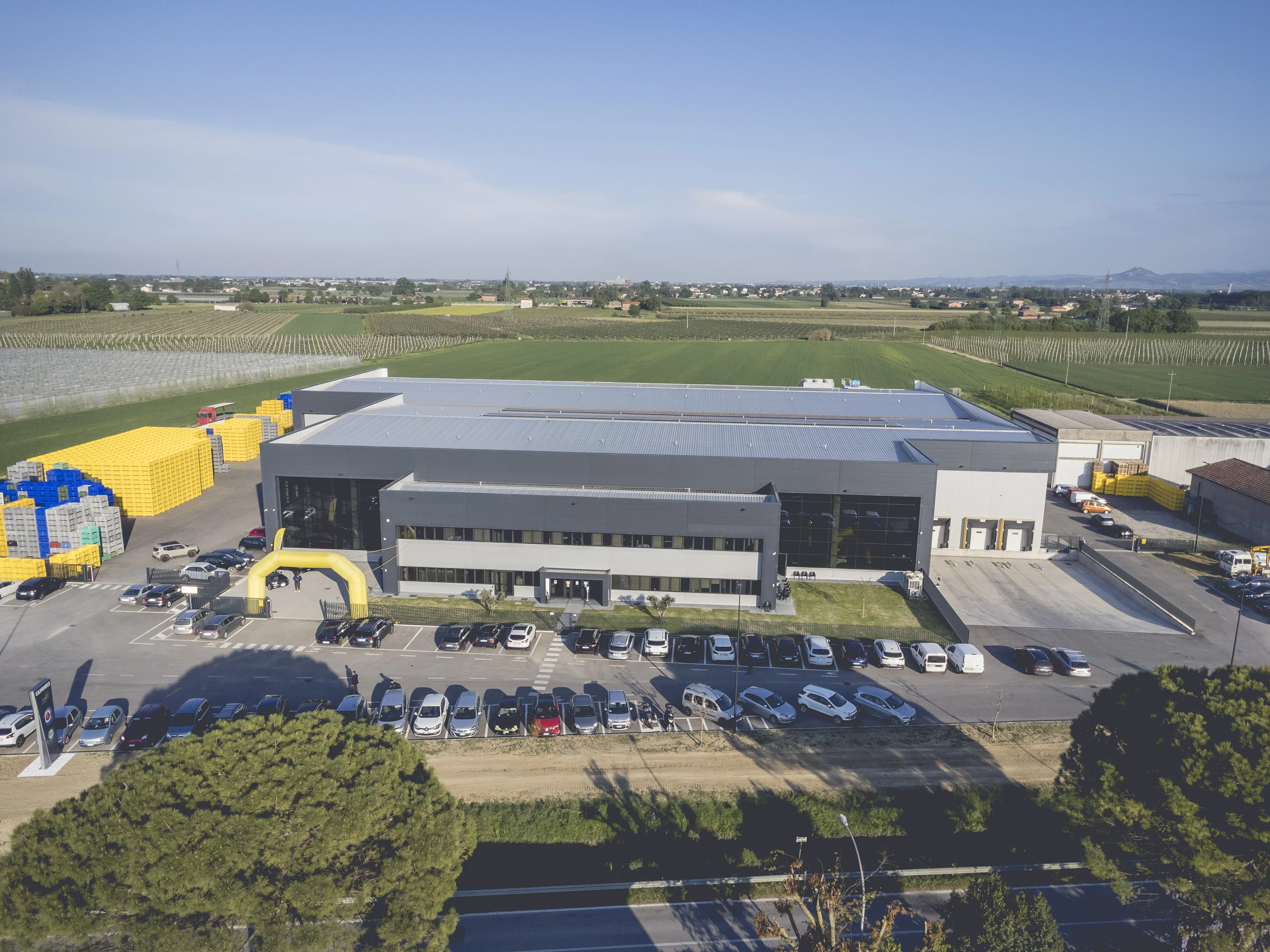 Italian Hayward Fresh Kiwi, 39 size, 75-80 grams, 10Kg Celebrity Fruit loose box, Green Actinidia chinensis