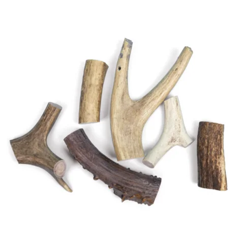 Naturally Shed Whole Red Deer Antlers