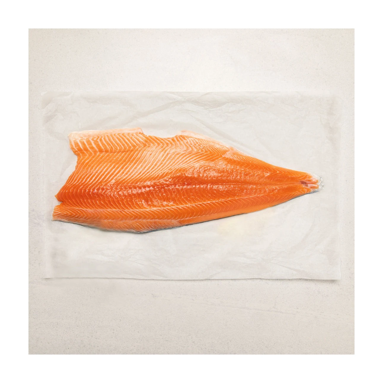 Salmon Fish Frozen Fillet Fresh And Frozen Atlantic Salmon Fish/ Frozen King Salmon Fillet