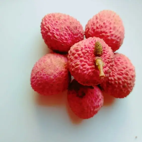 Discover the pure delight of our Canned Lychee, a luxurious indulgence to tantalize your senses.