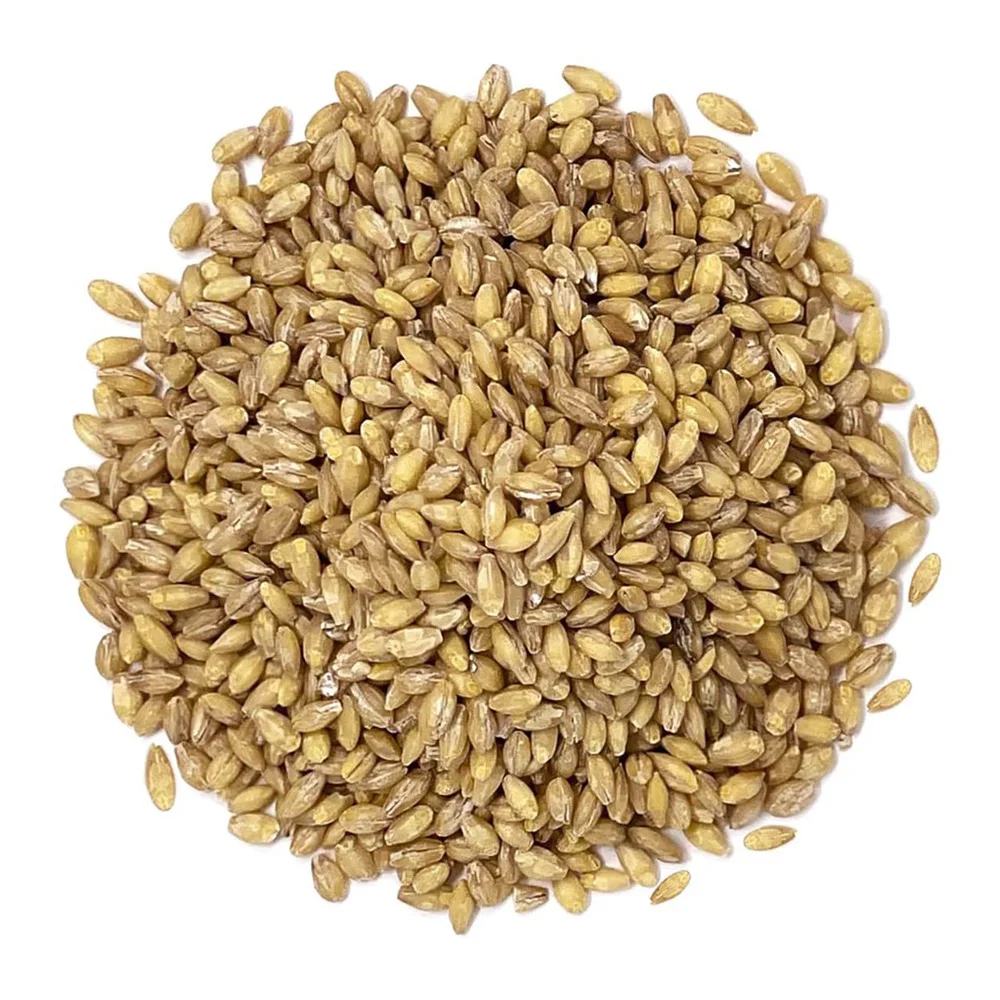 Top quality Barley for food industry and animal feeding reliable supplier hot sale in bulk grains and beans