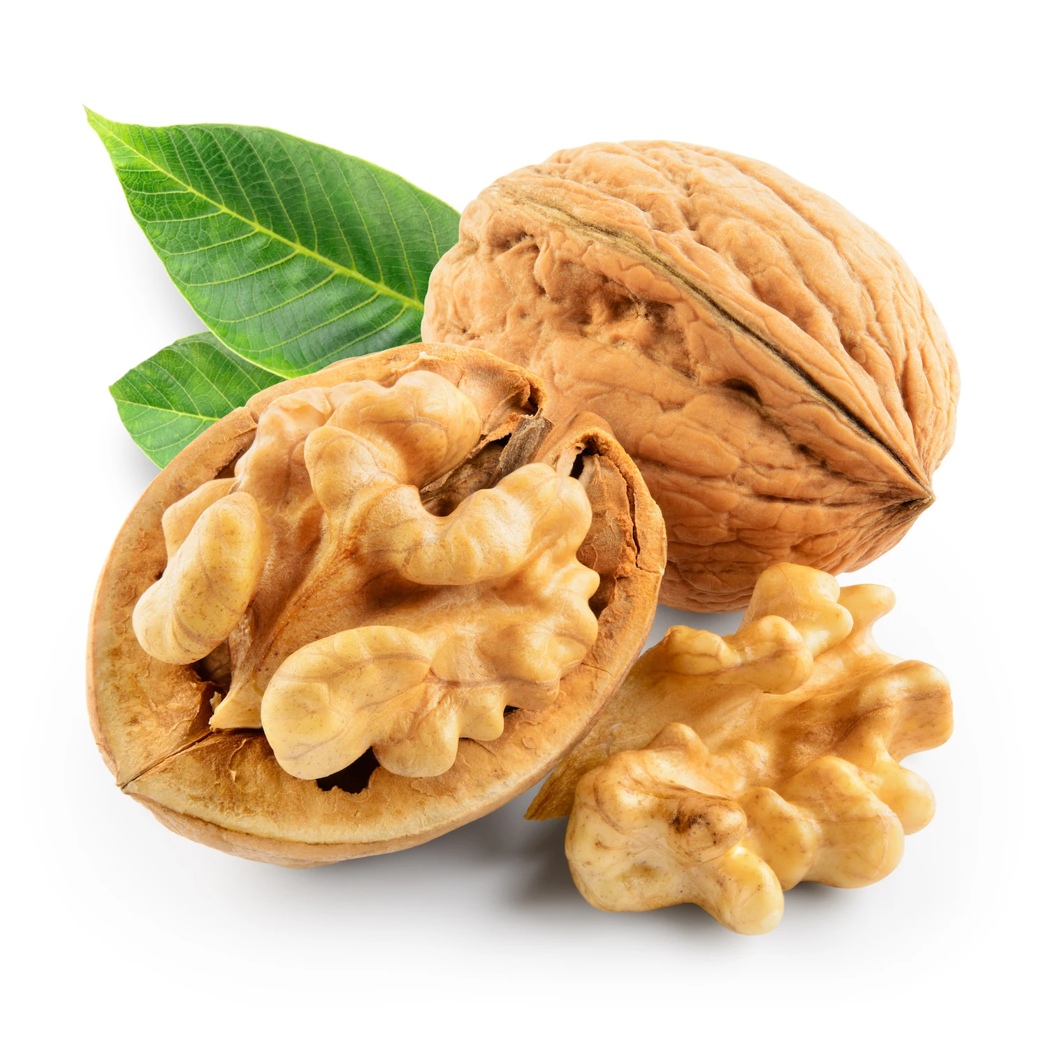 China cheap prices raw walnut shelled dry walnuts for sale