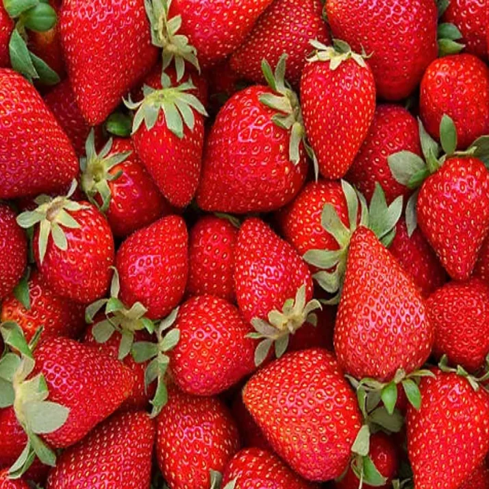 Wholesale Fresh Sweet Strawberries - Best Natural Fresh Strawberry Fruits at Bulk Fresh Fruits