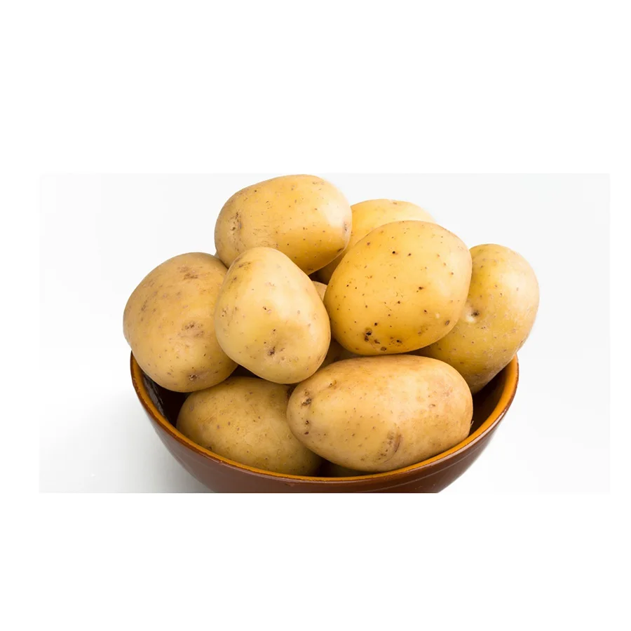 Fresh White Potato from Pakistan export quality white skin potato cheap price potato with customized packing