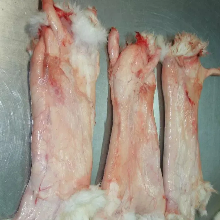 Frozen whole rabbit
