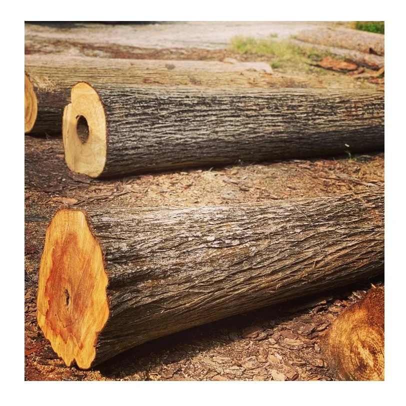 Premium Quality Cypress wood lumber and Logs for Furniture and construction work for Sale