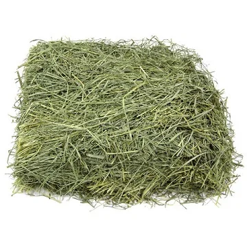 Cheap Price Alfalfa Hay Pellet for Animal Feed