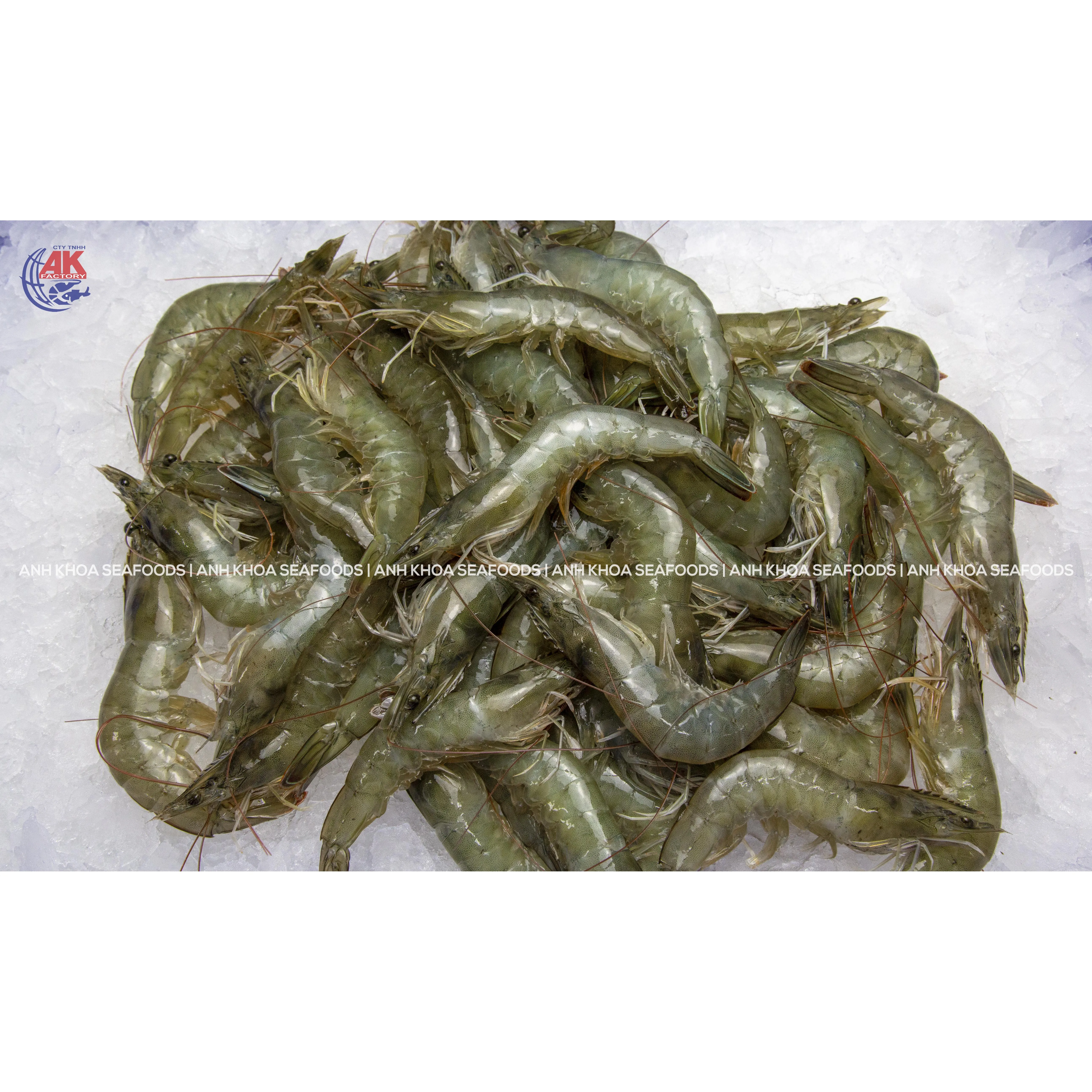OEM Seafood Supply Fresh Vannamei Shrimp Head On Shell On W/HOSO Custom Weight Request Wholesale Origin From Vietnam