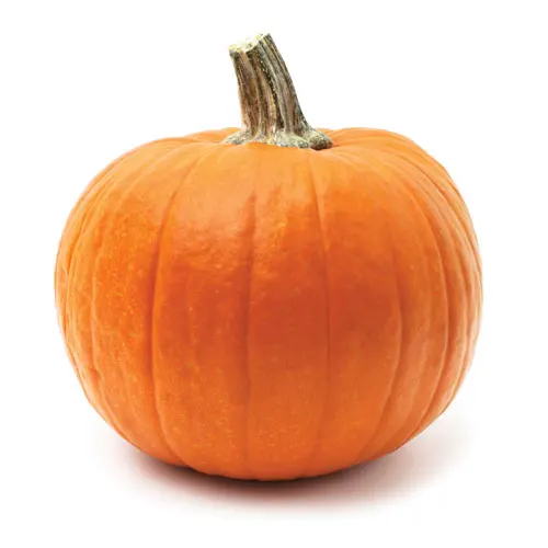Smooth Skin Fresh pumpkin Bulk Wholesale Seller Fresh pumpkin Best Quality Vegetables Exporter.