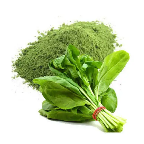 High Purity 100% Organic Pure wholesale Spinach Herbal Extract Whole Spinach Powder 100 g. dietary supplements
