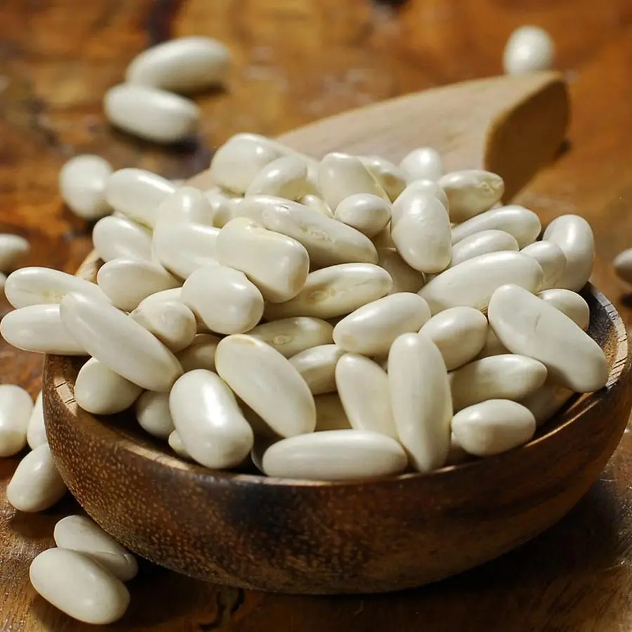 Buy Cheap Dark White Kidney Beans Long Shape Kidney Beans for sale