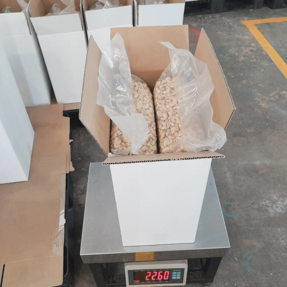 Cheap Bulk Ready To Ship Raw Cashew Nuts Cashew Nuts Cashew Nuts W320, W240, W180, SK, LP2 Low MOQ