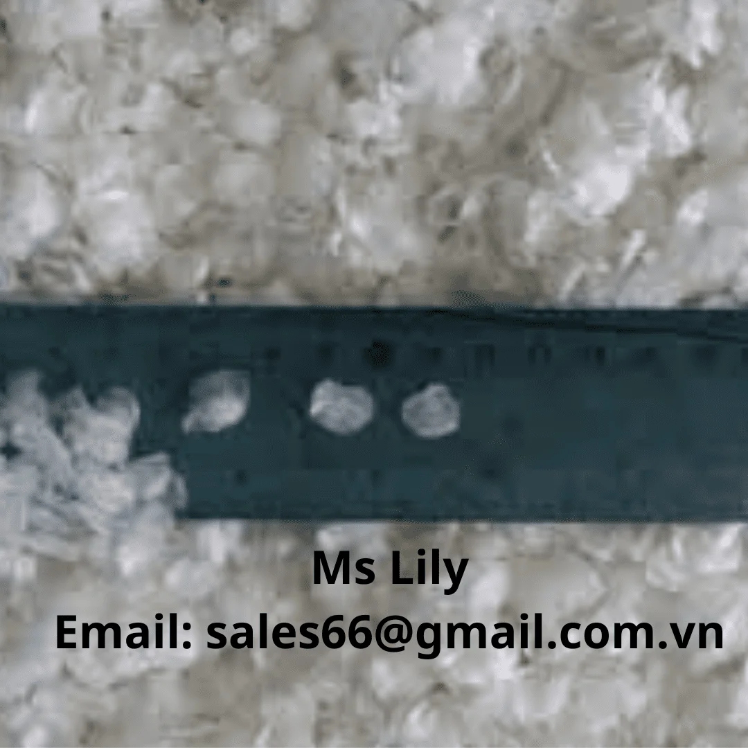 Sea Bass Fish Scales - Premium Quality Fish Scales From Vietnam - wholesale raw fish scales// Ms Lily +84 906927736