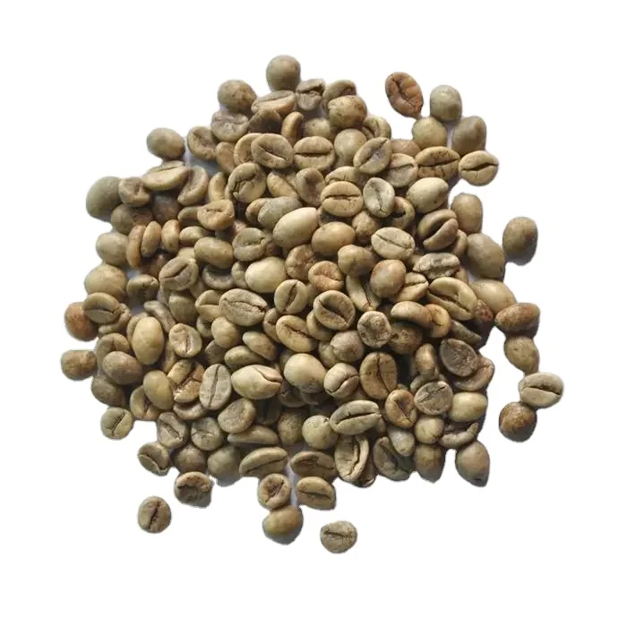 Green Coffee Beans - High Quality Robusta Coffee good price by Vietnam wholesale prices