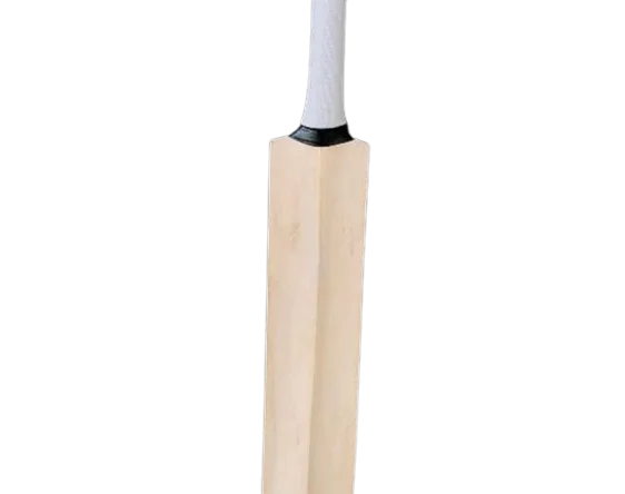 Professional Players High Quality Alum Tanned Leather Cricket Ball English Willow Cricket Bat