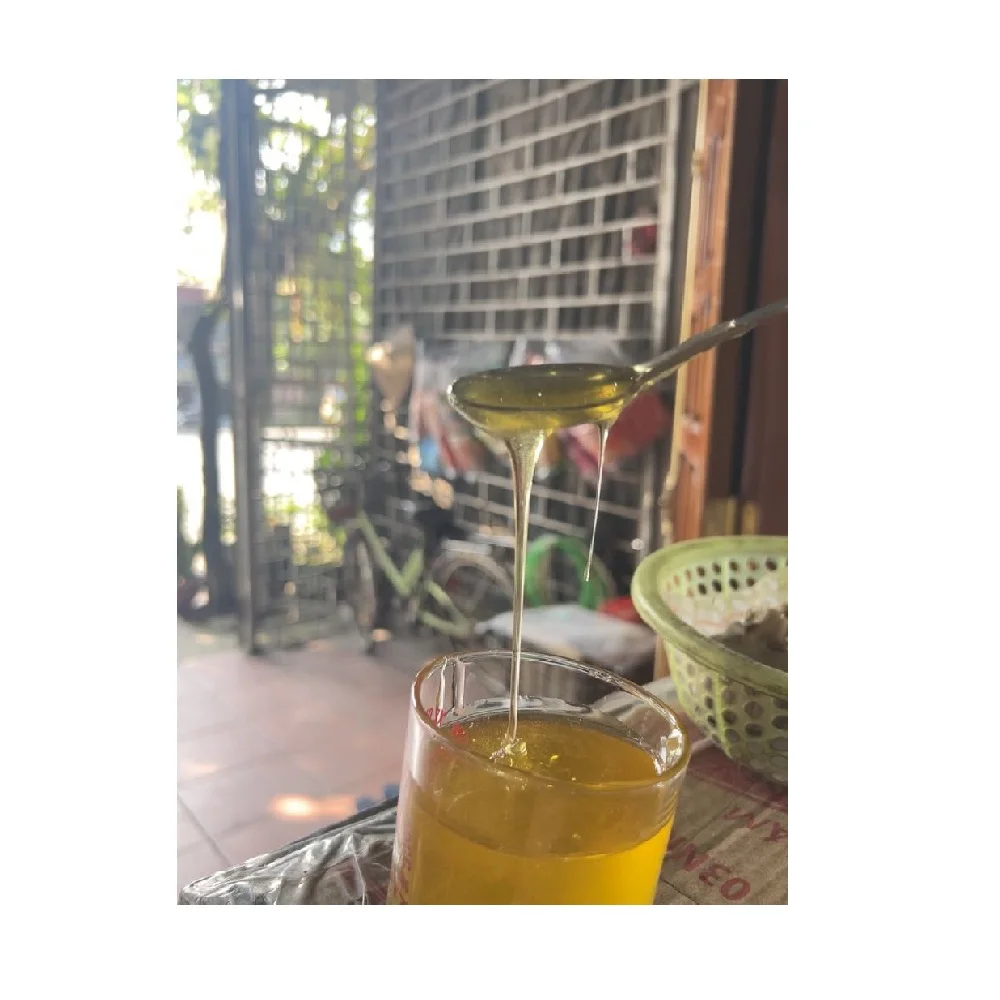 Can (Tinned) Packaging OEM/ODM Low MOQ High Quality Natural Forest Honey for Drinking, Cooking, Skincare Made in Vietnam