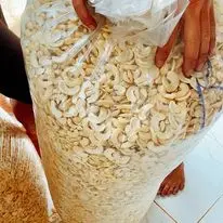 cashew milk and bakery Best Option Newest crop 2022 high quality broken cashew kernels LP, WS