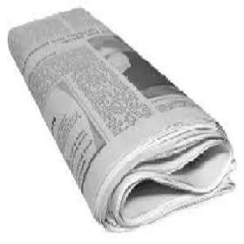 Wholesale Over Issue Newspaper Products Bales 100% Pure Wood Pulp Top Grade Mixed Paper Issued News Paper OINP High Efficiency
