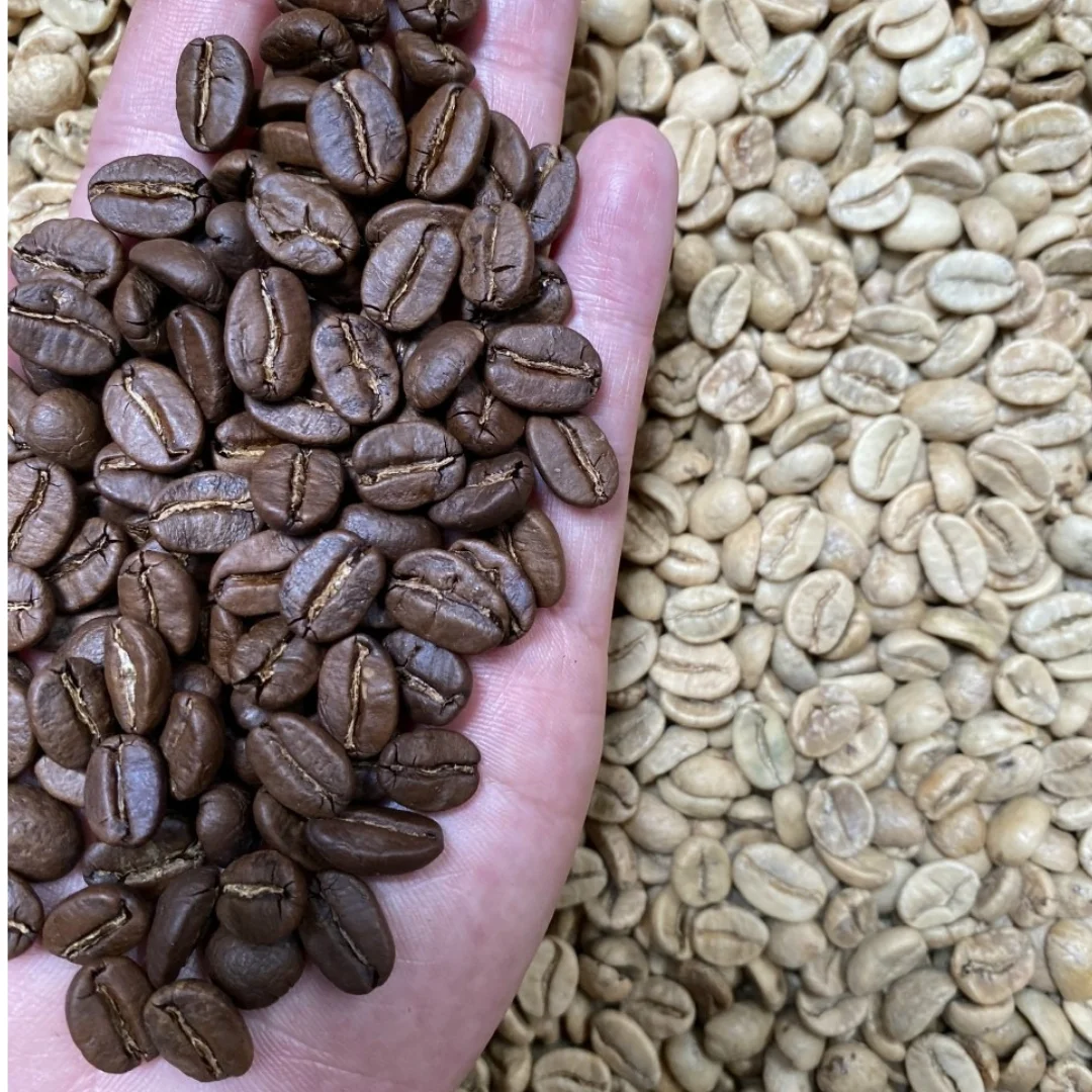 Agriculture Ready To Ship Wholesale High Quality Organic 100% Roasted Arabica Coffee Beans With 24 months From Vietnam