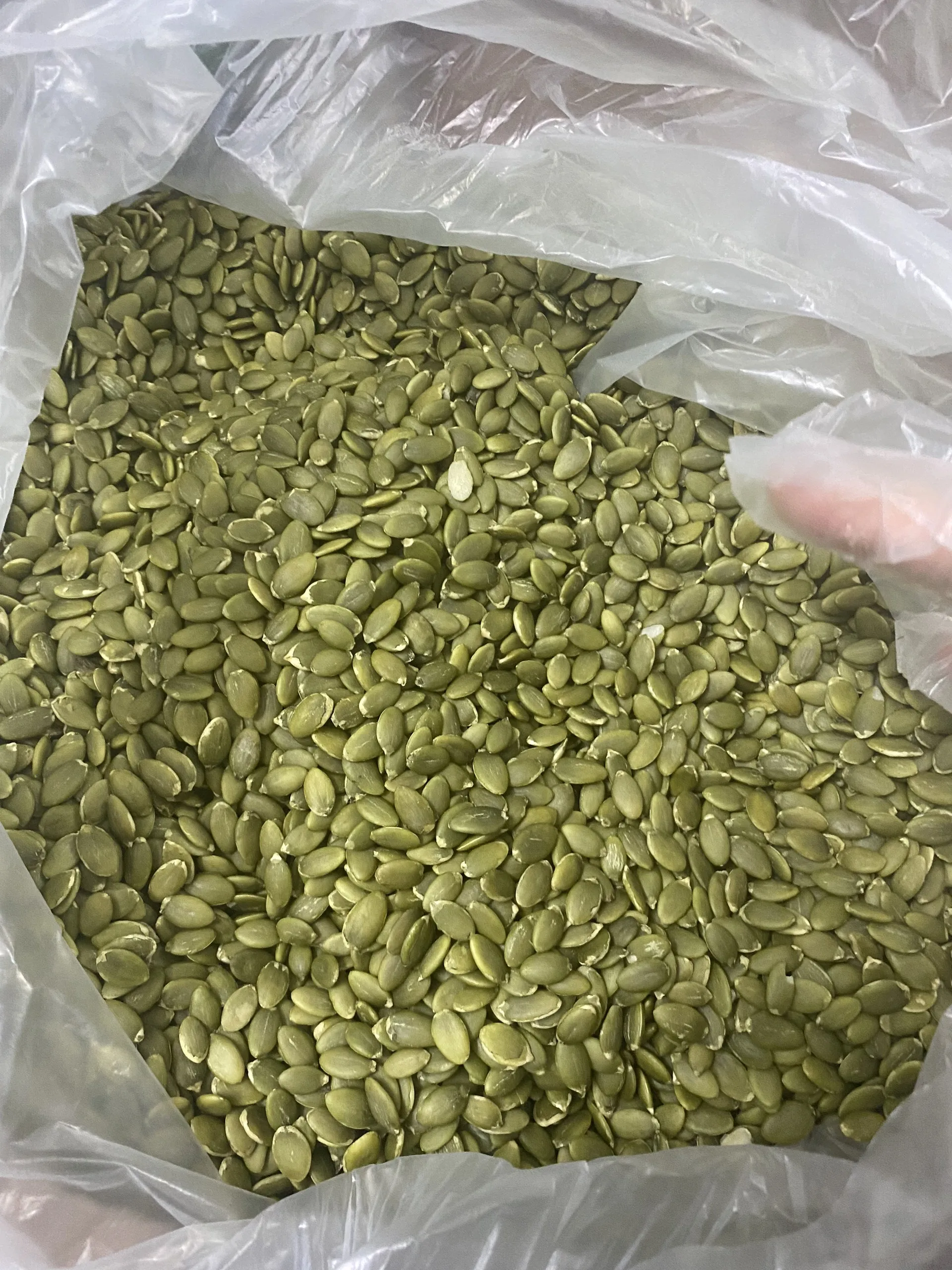 Good Quality Direct Factory Sale Supplier Manufacturer of 100% Organic Natural Fresh Pumpkin Seeds Kernel