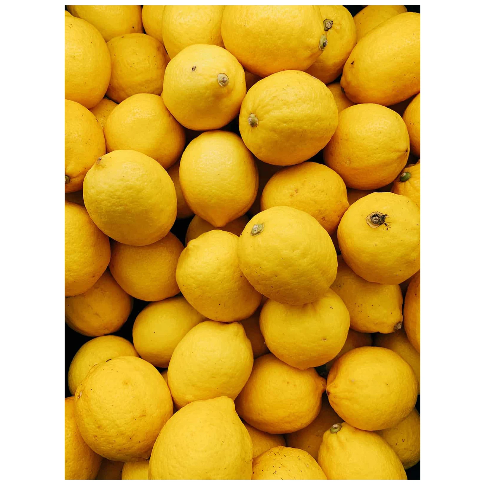 FRESH LIME /FRESH CITRUS FRUIT/ FRESH GREEN LEMON High Quality With Best Price At  Factory Ready To Export