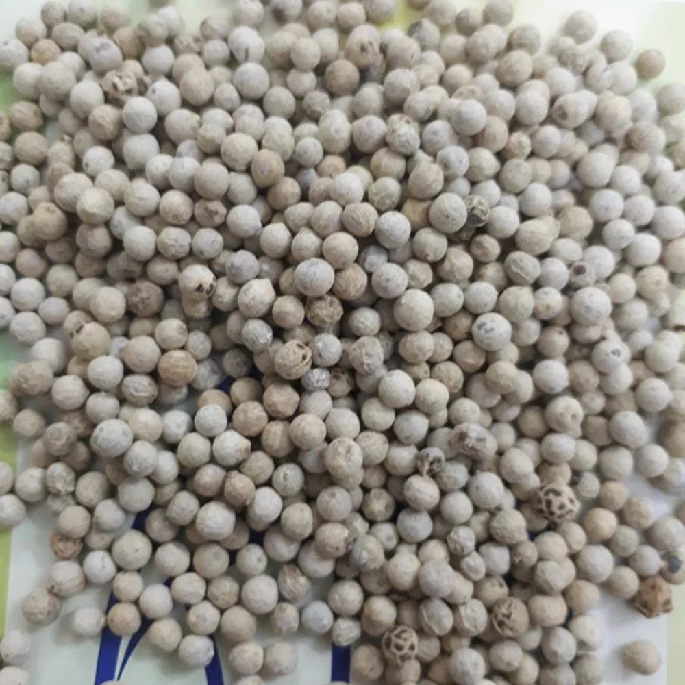 Delicious Vietnam High Quality White Pepper Exporting Standard Top Grade Rich Vitamins Wholesale