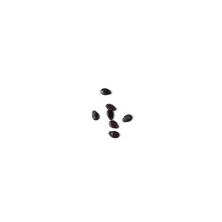 Сеялка для овощей