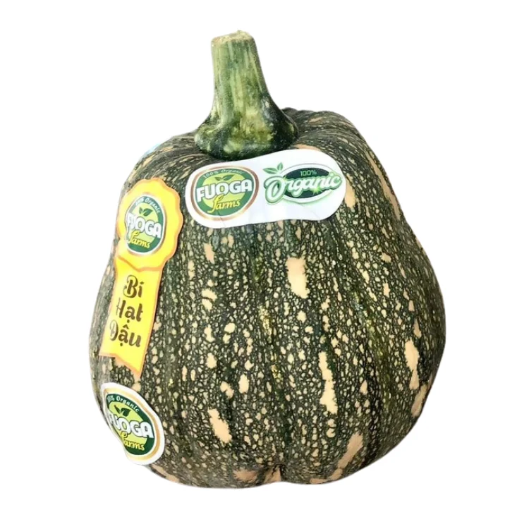 organic pumpkin Cheap price good taste using for food packing in carton Made in Vietnam Manufacturer