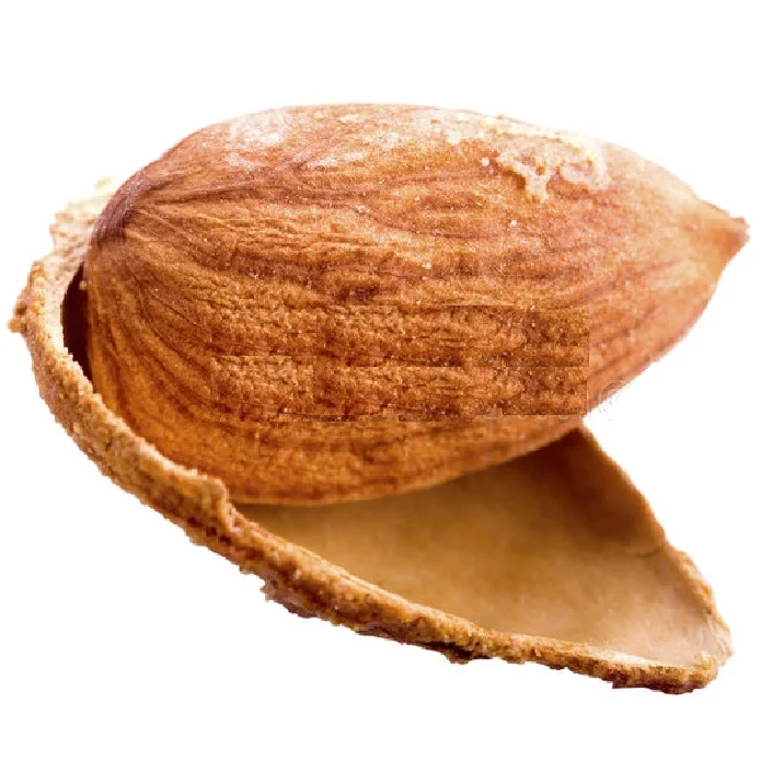 Almond Nonpareil, California Almonds, Shelled Almond, Inshell Almond