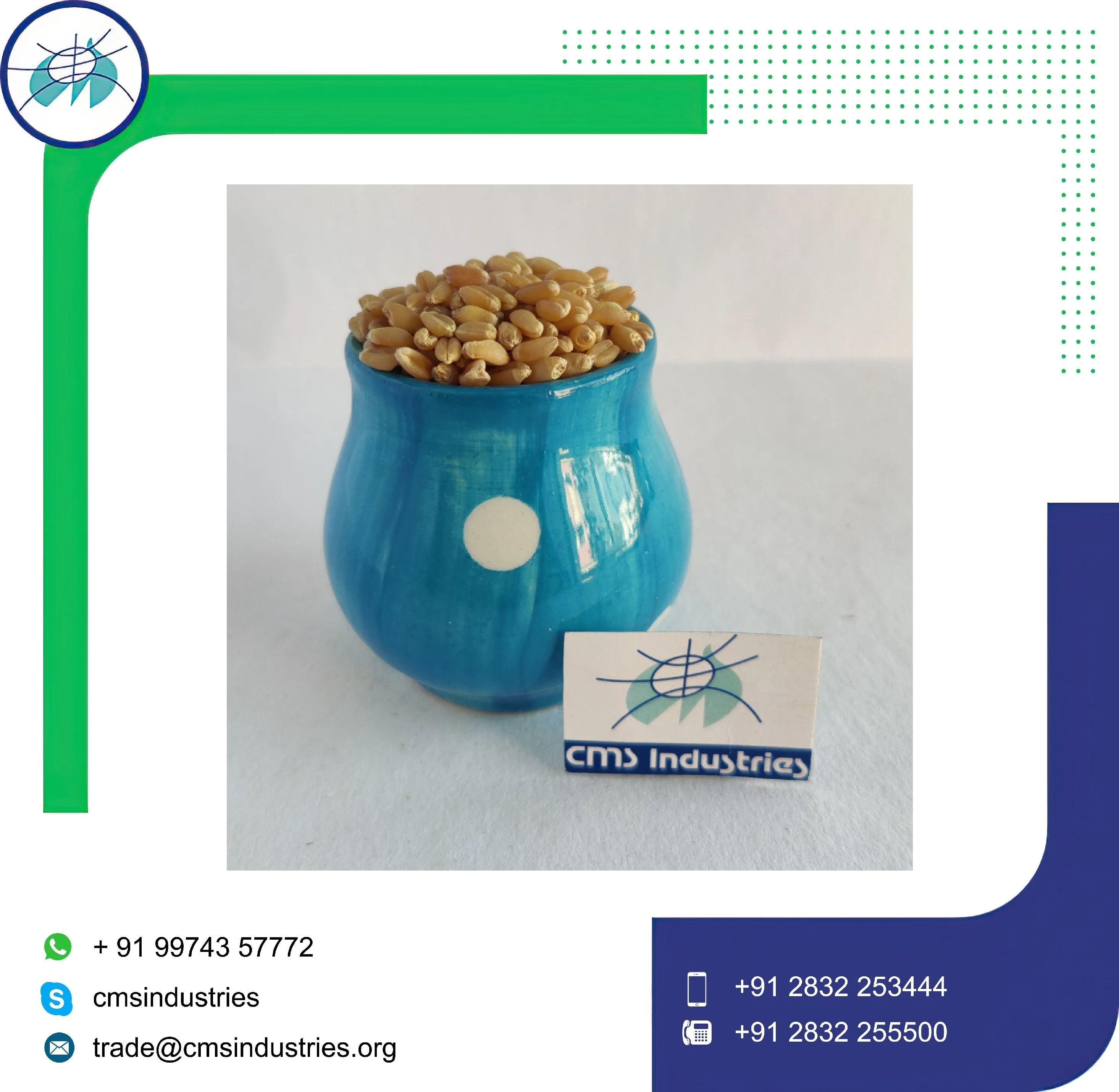 Good Supplier Lower Price Milling Wheat