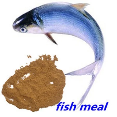 FISH MEAL/BONE MEAL/BLOOD MEAL CHEAPER FACTORY PRICE