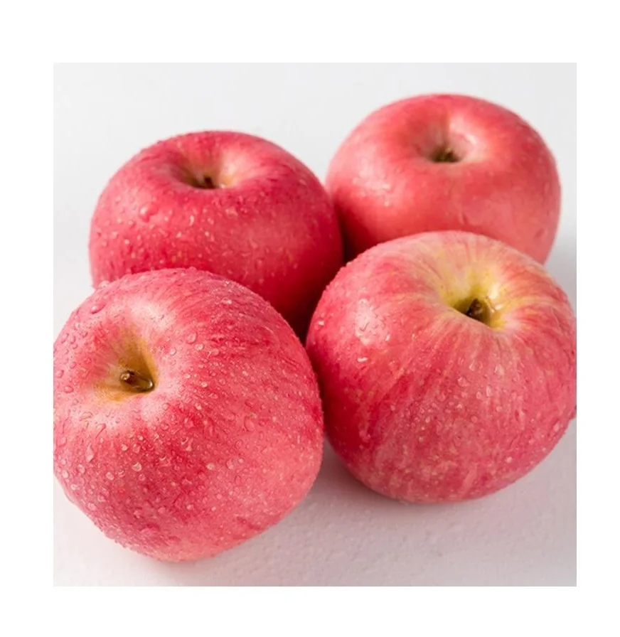 Fresh Fruit Apples Available at Cheapest Price In Bulk Stock