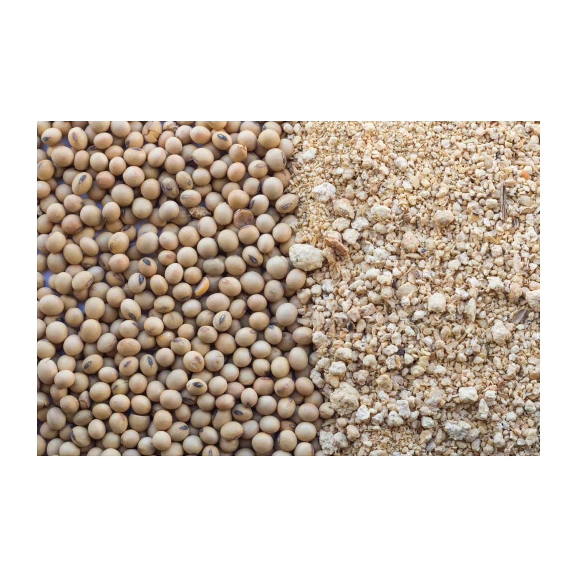 Brazil Soybean Meal Supplier - non GMO Soybean Meal Animal Fish Meal for sale