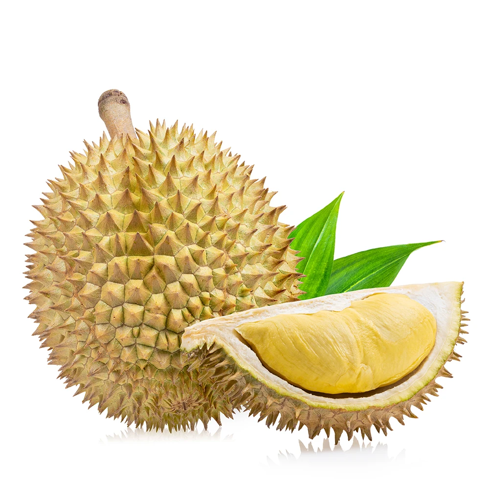 Vietnam Durian Premium Fresh Dona Durian Manufacturer