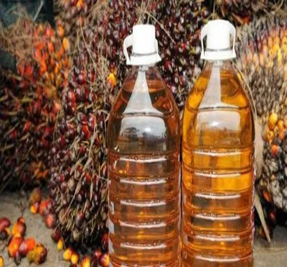 High Quality Refined & Crude Red Palm Oil /Palm Nuts oil/ Refined Palm Vegetable Cooking Oil for Sale