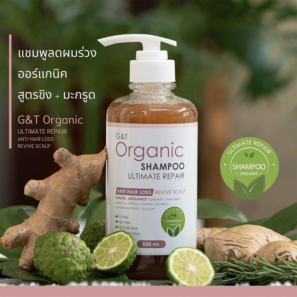 500ml/Bottle Organic Herbal Hair Shampoo Ginger and Kaffir lime Ultimate Repair Anti Hair Loss Wholesale Thailand