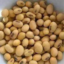 New Crop Top Grade Peeled IQF Frozen Soy Bean Kernels / Food Grade Yellow Soybeans