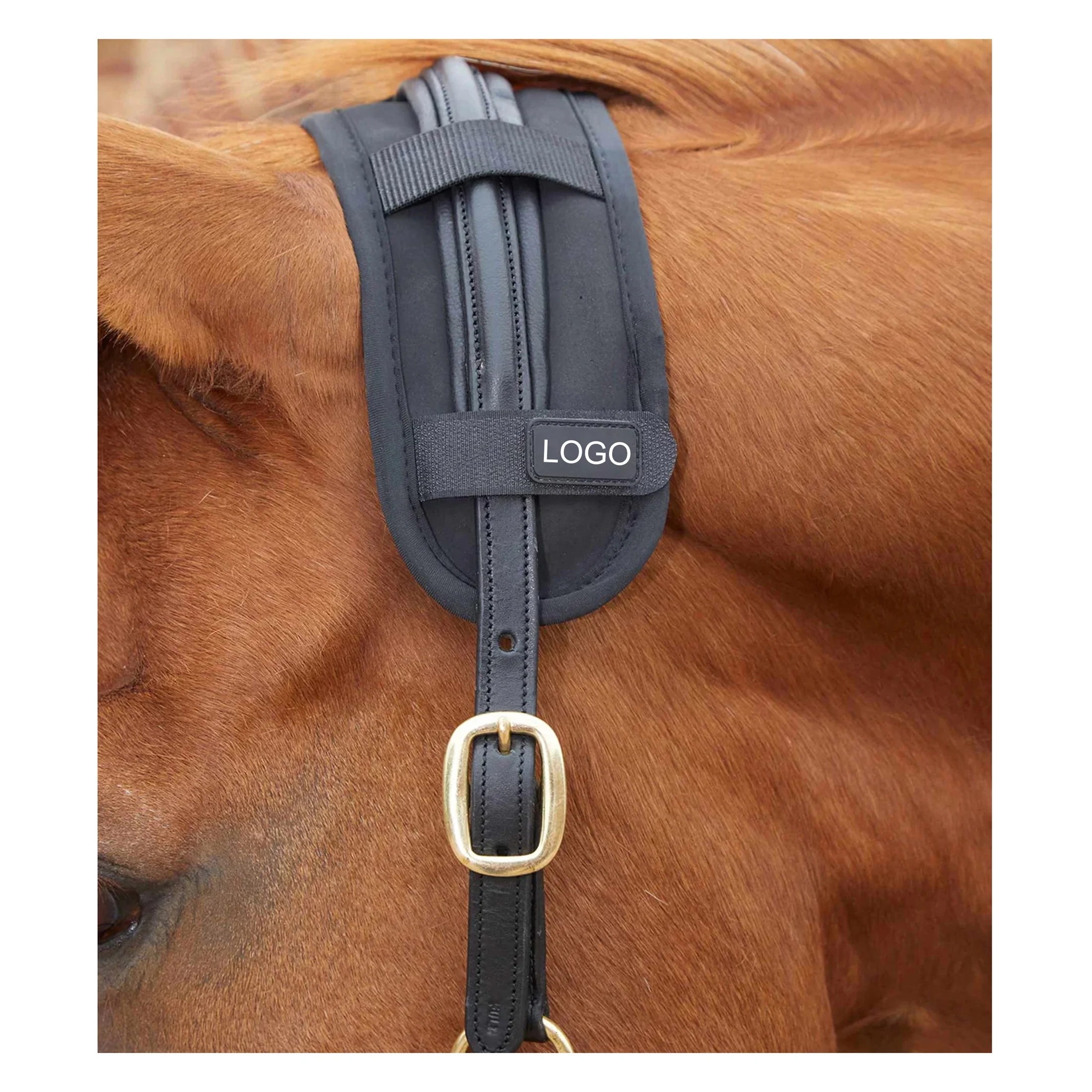 Trendy Design Best Selling Neoprene Horse Magnetic Poll Band Horse Wraps Head Collar Reduce Tension And Relax Closures For Sale