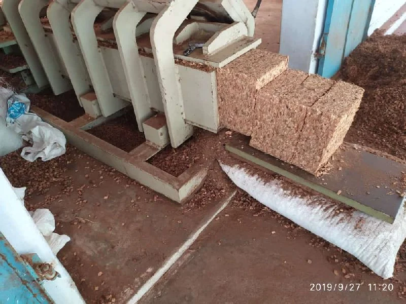 Premium Coco Husk Chips 5 kg block great for orchids pet beds snake reptile bedding hydroponic expands upto 70 to 75 liters