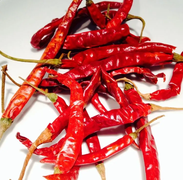Wholesale Good Quality Cheap Price DRIED RED CHILLI From Viet Nam