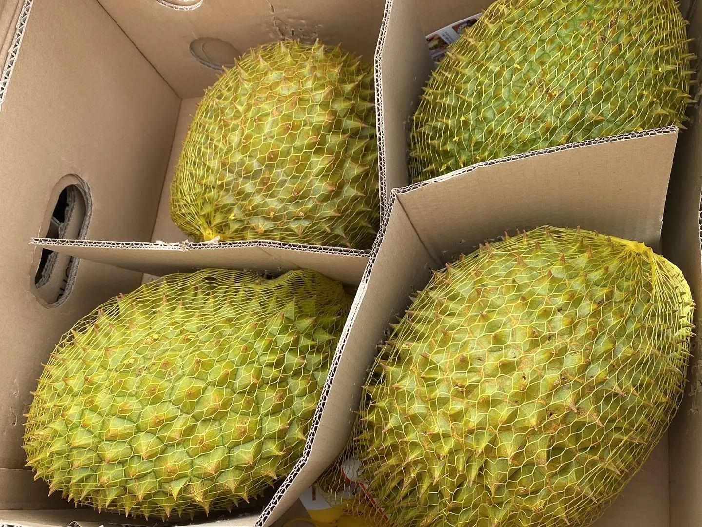 Vietnamese standard premium frozen seedless durian Ms Sophie