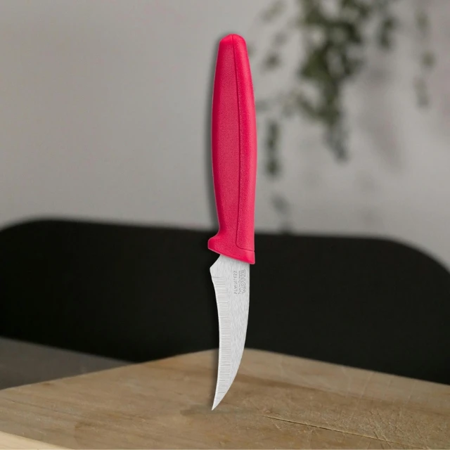 Curved Blade with Compact Size Paring Kitchen Knife