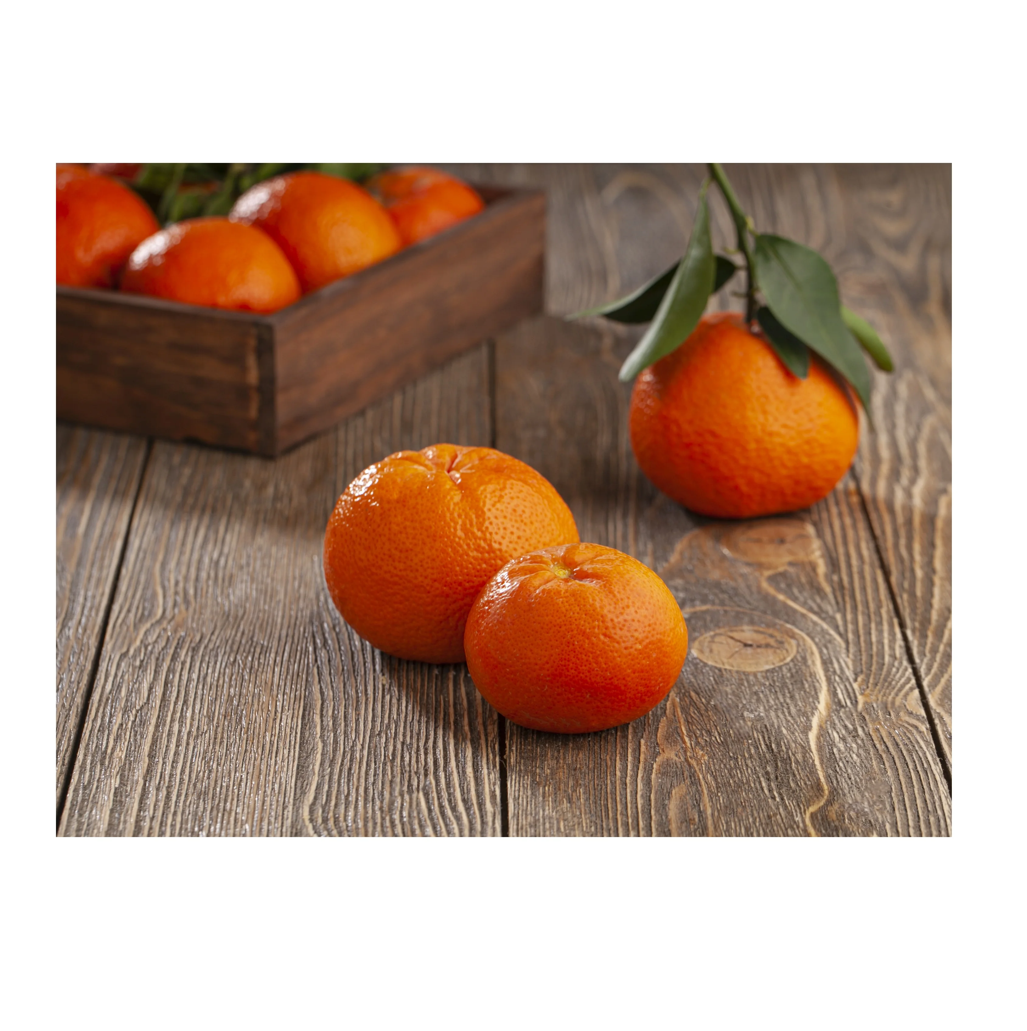 New Crop %100 Organic Mandarin Big juicy Mandarine Premium Quality Fresh Mandarin - Made in Turkey