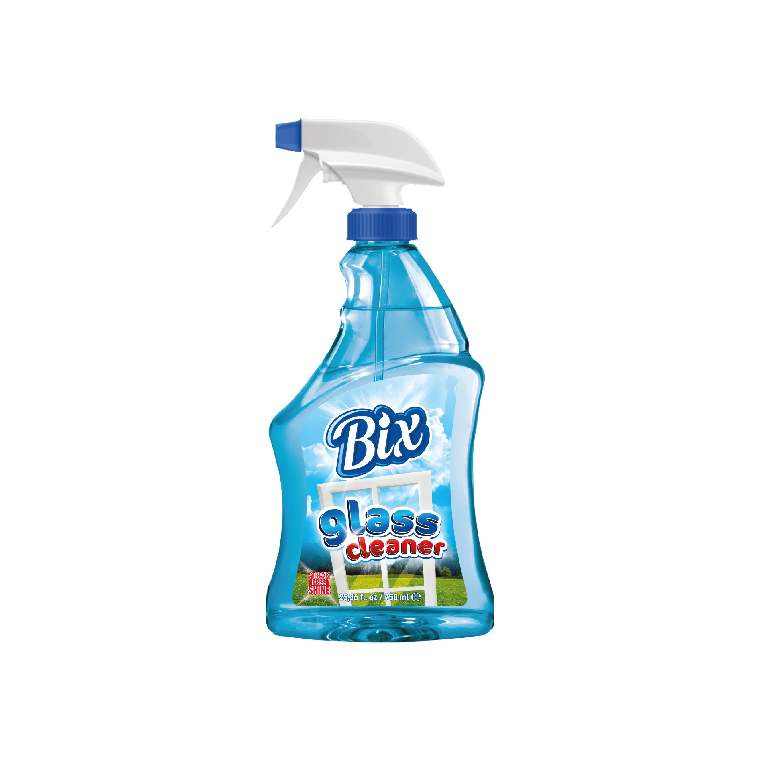 BIX  Glass Cleaner