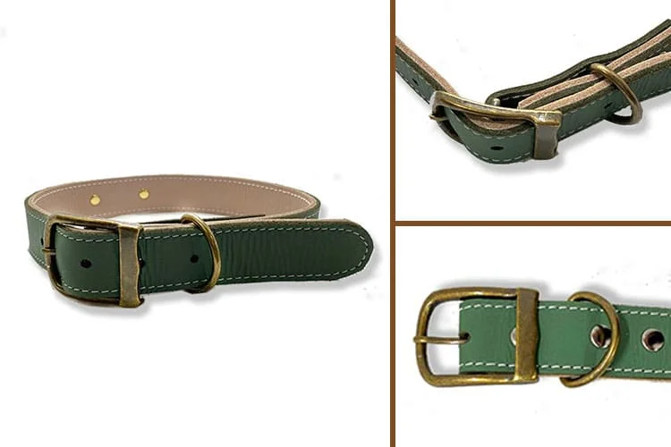 Dog Collar T17 N3L07-2