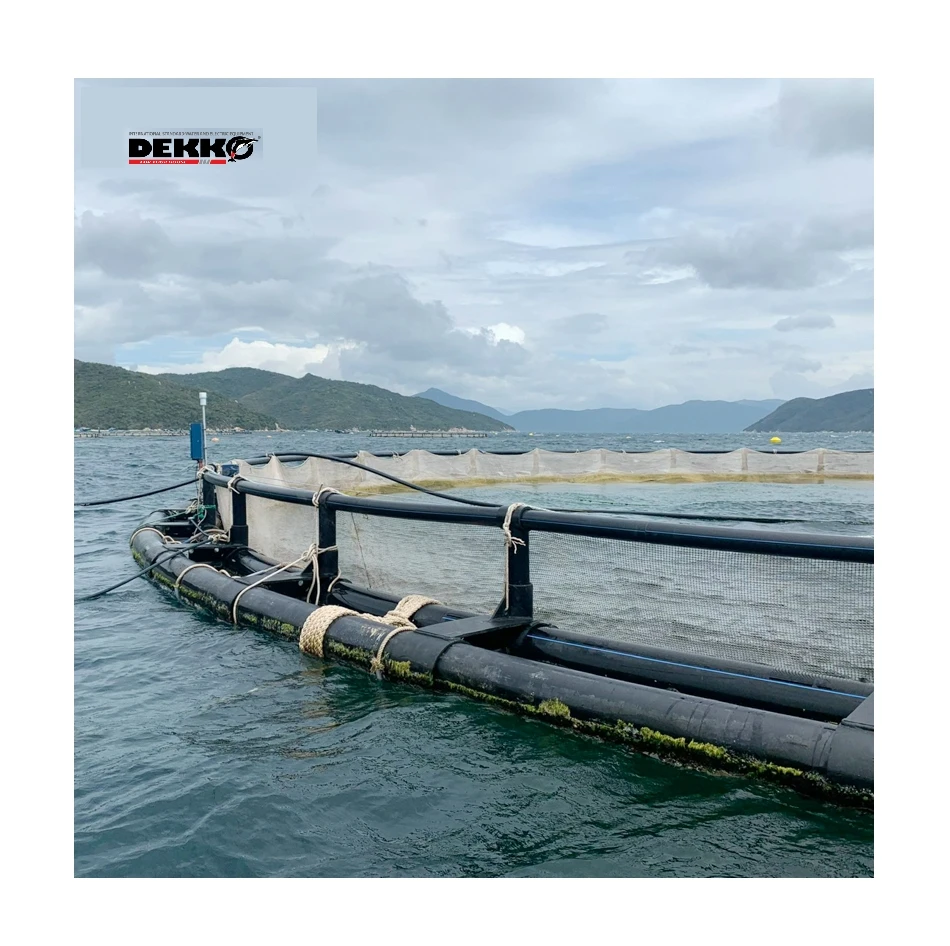 Hdpe Floating Fish Farming Cage Hdpe Bracket For Fish HDPE Double Pipe Round Raft High Quality For Sale