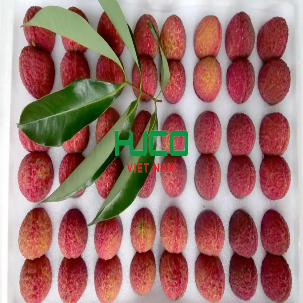 Viet Nam Fresh lychee with sweet taste Lychee 100% natural agriculture products wholesale tropical fruits origin Vietnam