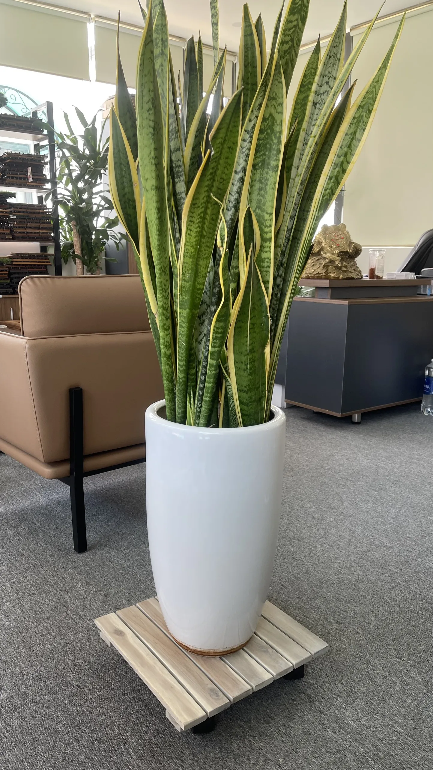 Wood flower plant caddy wood lattice trolley, square & round plant dolly with brakes dia 300 mm